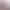 https://shared.akamai.steamstatic.com/store_item_assets/steam/apps/3226190/header.jpg?t=1751160243