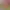 https://shared.akamai.steamstatic.com/store_item_assets/steam/apps/3235170/44a45dbb30a567a10c0fd753d18a038bc4869ab3/header.jpg?t=1752075226