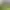 https://shared.akamai.steamstatic.com/store_item_assets/steam/apps/3239330/header.jpg?t=1752507553