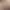 https://shared.akamai.steamstatic.com/store_item_assets/steam/apps/3264480/004918ffece6c9a1b1d0bcad0be26e999bc9bb24/header.jpg?t=1752883110