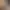 https://shared.akamai.steamstatic.com/store_item_assets/steam/apps/3282920/header.jpg?t=1733218484