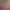 https://shared.akamai.steamstatic.com/store_item_assets/steam/apps/3315800/header.jpg?t=1748499336