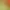 Decofarm.