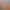 https://shared.akamai.steamstatic.com/store_item_assets/steam/apps/3345580/header.jpg?t=1743697048