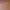 https://shared.akamai.steamstatic.com/store_item_assets/steam/apps/3346950/header.jpg?t=1751047752