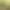 https://shared.akamai.steamstatic.com/store_item_assets/steam/apps/3358370/header.jpg?t=1735215285