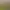 https://shared.akamai.steamstatic.com/store_item_assets/steam/apps/3367750/header.jpg?t=1733586786
