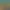 https://shared.akamai.steamstatic.com/store_item_assets/steam/apps/3368700/header.jpg?t=1733586791