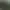 Arma 2: Operation Arrowhead.