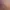 https://shared.akamai.steamstatic.com/store_item_assets/steam/apps/3407700/bd89df7e182022fa69868b151ffe43c4db165b06/header.jpg?t=1752239119