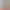 https://shared.akamai.steamstatic.com/store_item_assets/steam/apps/3429500/header.jpg?t=1737836529