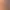 https://shared.akamai.steamstatic.com/store_item_assets/steam/apps/3443210/header.jpg?t=1736896805