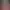 https://shared.akamai.steamstatic.com/store_item_assets/steam/apps/3452240/d539d1834325633a2ac5d34f3f6f53f6504604cb/header.jpg?t=1750226982