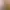 https://shared.akamai.steamstatic.com/store_item_assets/steam/apps/355020/header.jpg?t=1739494504