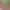 https://shared.akamai.steamstatic.com/store_item_assets/steam/apps/3570010/5857f05222b055bc8e7981188271f7ce6d4c8f80/header.jpg?t=1752578103