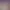 https://shared.akamai.steamstatic.com/store_item_assets/steam/apps/359510/header.jpg?t=1752238583