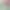 https://shared.akamai.steamstatic.com/store_item_assets/steam/apps/3599800/28bcffd44fcbe56e36fb32811f28111d5fa33428/header.jpg?t=1750463191