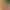 https://shared.akamai.steamstatic.com/store_item_assets/steam/apps/3620830/5ebffcc4c4949da96608cf1409719d7117d004ee/header.jpg?t=1747396911