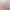 NEKOPARA After.