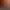 https://shared.akamai.steamstatic.com/store_item_assets/steam/apps/3735350/b5605a36b6411f1a87590009a3312eb7a1d78fa0/header.jpg?t=1749251393