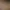 https://shared.akamai.steamstatic.com/store_item_assets/steam/apps/381120/header.jpg?t=1726150362