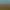 Gold Mining Simulator.