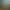 Gold Mining Simulator.