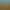 Gold Mining Simulator.