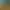 Gold Mining Simulator.