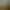 Gold Mining Simulator.