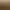 Gold Mining Simulator.