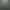 Ultimate Fishing Simulator.