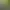 https://shared.akamai.steamstatic.com/store_item_assets/steam/apps/50/header.jpg?t=1738795037