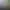 Purrfect Date - Visual Novel/Dating Simulator.