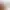 https://shared.akamai.steamstatic.com/store_item_assets/steam/apps/581320/header.jpg?t=1746454089