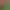https://shared.akamai.steamstatic.com/store_item_assets/steam/apps/591460/header.jpg?t=1746109399