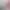 https://shared.akamai.steamstatic.com/store_item_assets/steam/apps/601430/header.jpg?t=1750783701