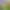 https://shared.akamai.steamstatic.com/store_item_assets/steam/apps/700360/header.jpg?t=1654268298