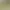 Donut County.