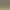 Lost Artifacts - Ancient Tribe Survival.