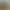 https://shared.akamai.steamstatic.com/store_item_assets/steam/apps/757300/header.jpg?t=1717681834