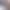 https://shared.akamai.steamstatic.com/store_item_assets/steam/apps/762830/header.jpg?t=1729098948