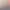 AI Anomaly.