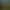 Green Hell.