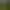 Green Hell.