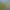 https://shared.akamai.steamstatic.com/store_item_assets/steam/apps/822660/header.jpg?t=1625566378