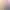 WhiteLily 1：丽丽公主.