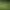 https://shared.akamai.steamstatic.com/store_item_assets/steam/apps/932200/header.jpg?t=1649905048