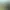 War Dust VR: 32v32 Battlefields.