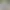Gods of Love: An Otome Visual Novel.